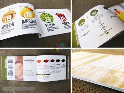 Livreto/brochura dobrado feito sob encomenda papel publicitário para impressão em cores